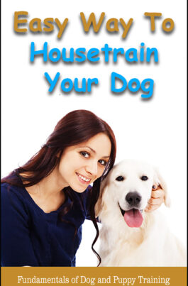 Easy Way To Housetrain Your Dog