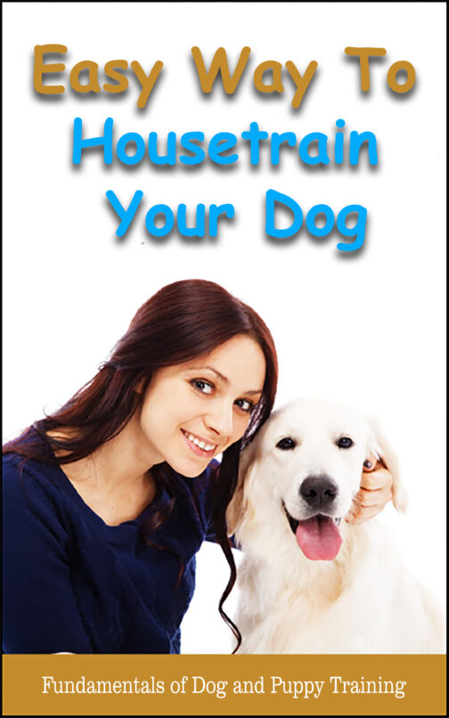 Easy Way To Housetrain Your Dog